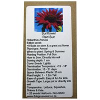 6 degrees east Herloom Flower  Seeds - Sunflower - Red Sun